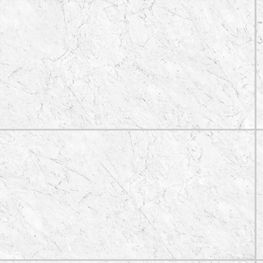 Classic Carrara White Silk 80x160