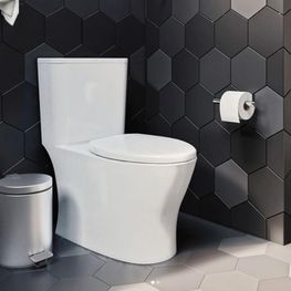 Inodoro Rivoli Plus Blanco One Piece Elongado Cierre Lento Push ADA 4.8L