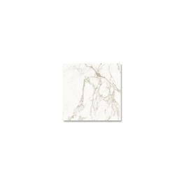 Calacatta White Pulido 8mm 60x60