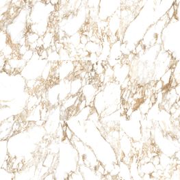Golden Calacatta White Pulido 60x60