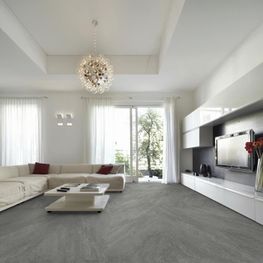 Origins Silver Gris Claro Mate 80x160