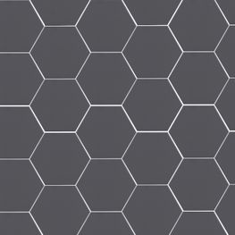 Opal Gris Hexagonal Mate 15x17