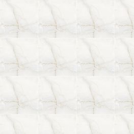 Maddy Blanco Pulido 60x60