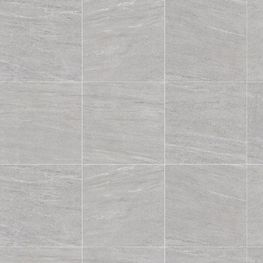 Transit Grey Mate 60x60