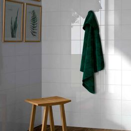 Andes Plus Blanco Brillante 20x30