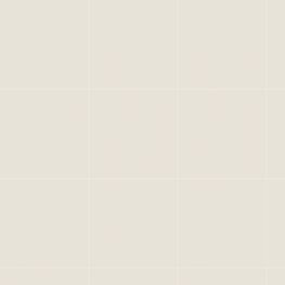 SS Luna Gris Oscuro Pulido 60x60