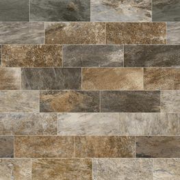 Everstone Multicolor Mate 18x50