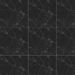 Majesto Negro Pulido 80x80