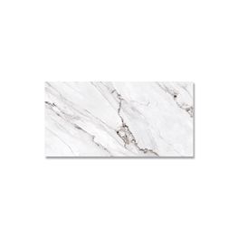 Rossian White Blanco Mate 59.3x119