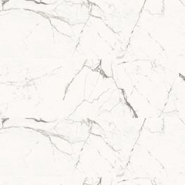 Classic Calcutta Pulido 8mm 60x120