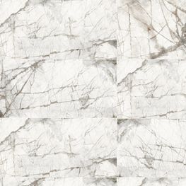 Argos Gris Mate 60x120