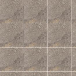 Filita Taupe N 59.3x59.3