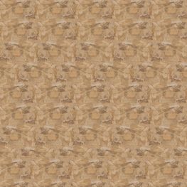 Ribassos Beige Mate 33x55