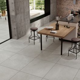 Eleganz Light Grey Mate 60x60 cm