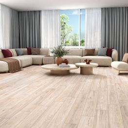 Trivenza Light Gray Mate 20x120 cm